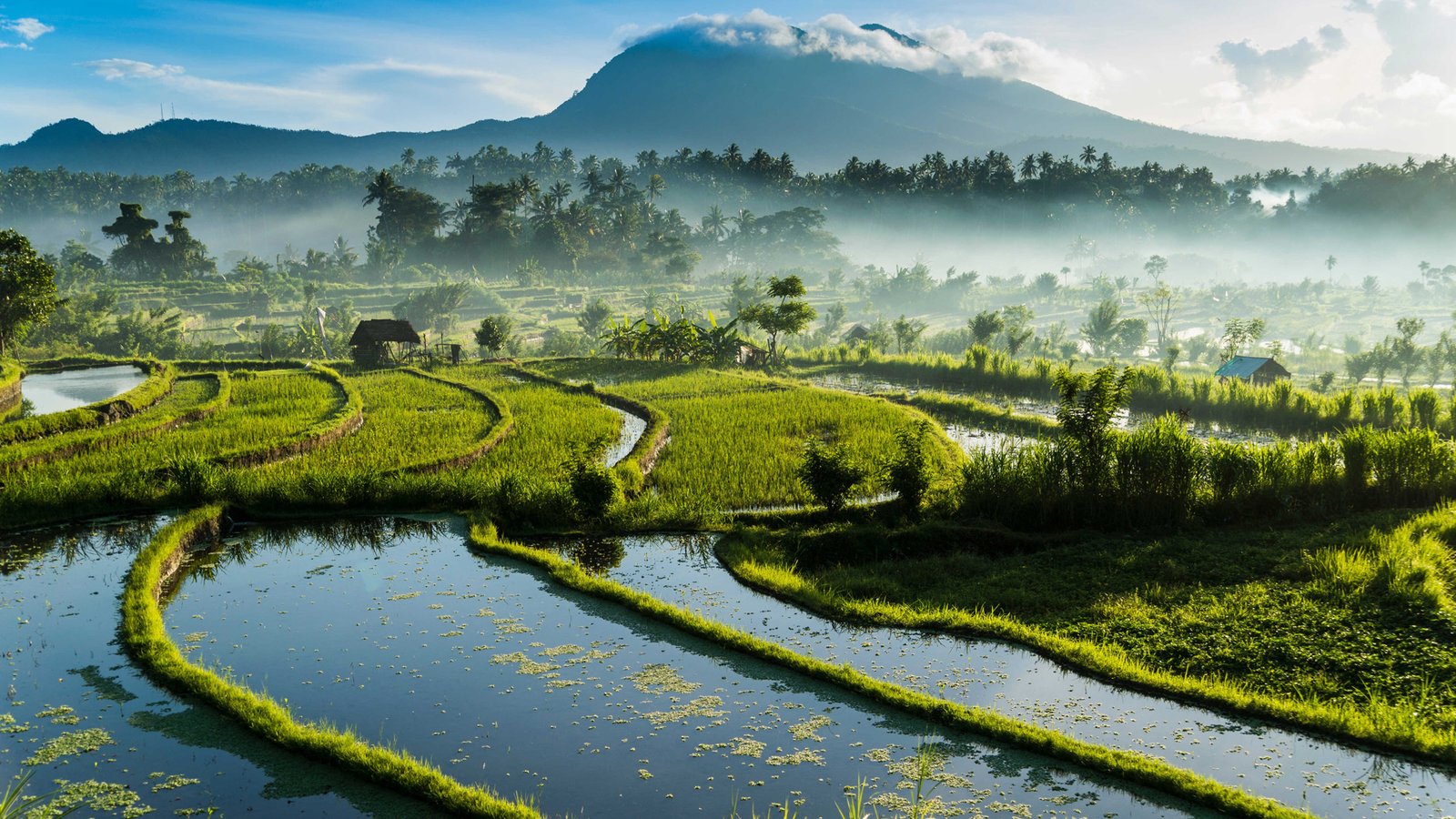 Beautiful mountain & farm scenery