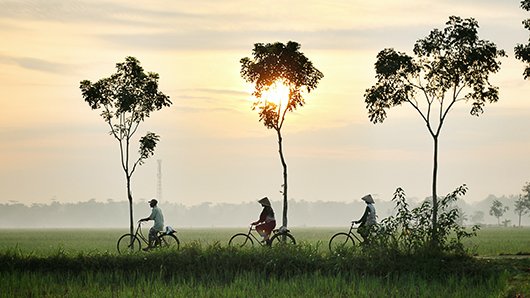 people on bike near rice fields